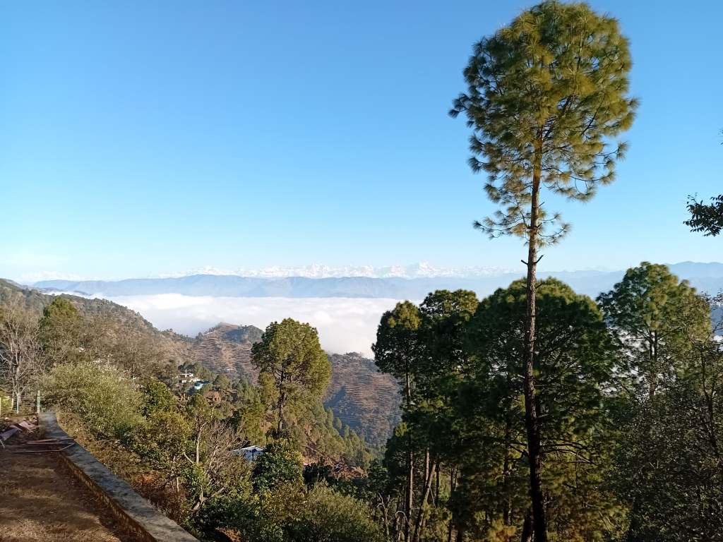 Heart Whispers from the&nbsp;Hills